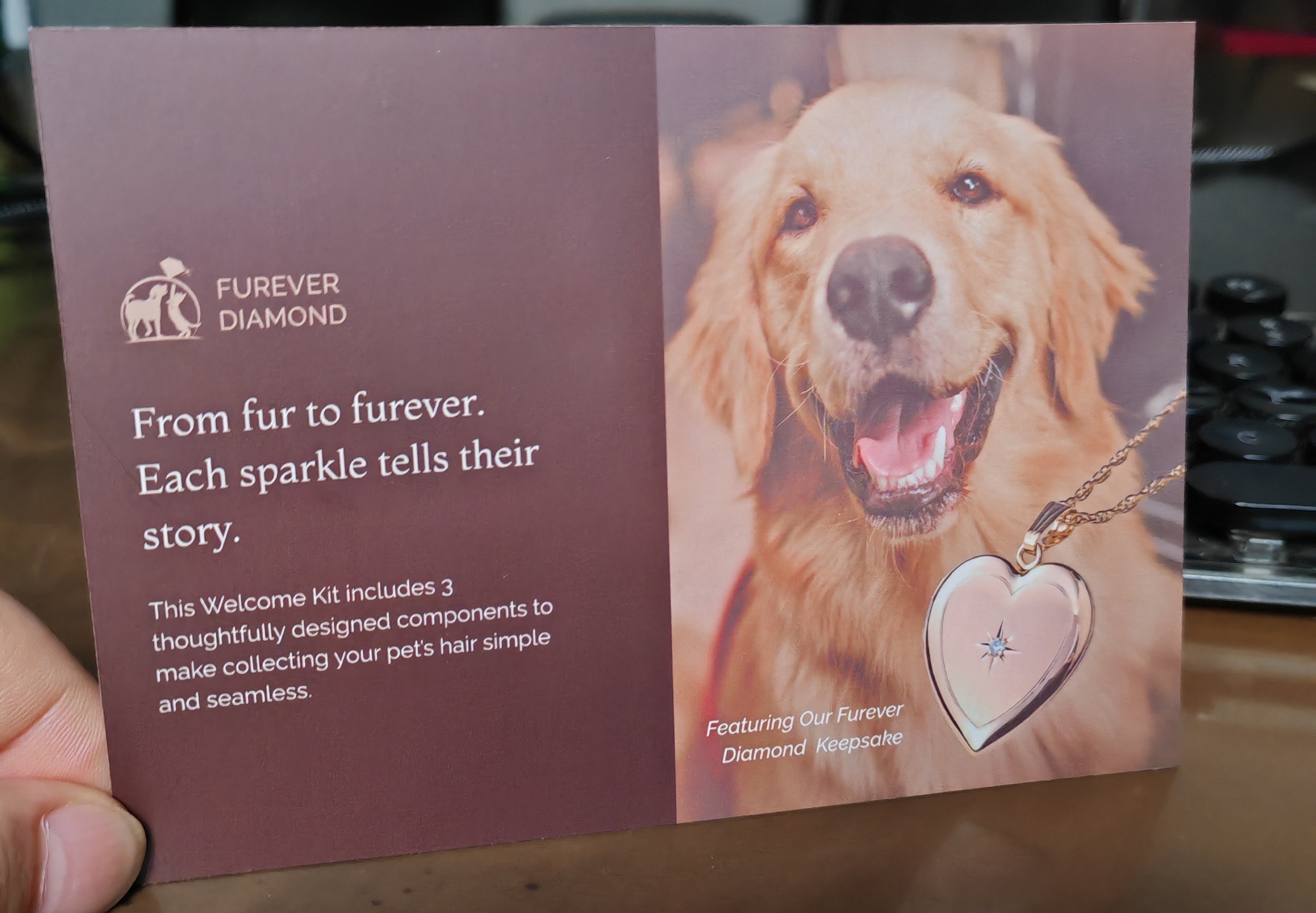 Furever Diamond welcome kit card front